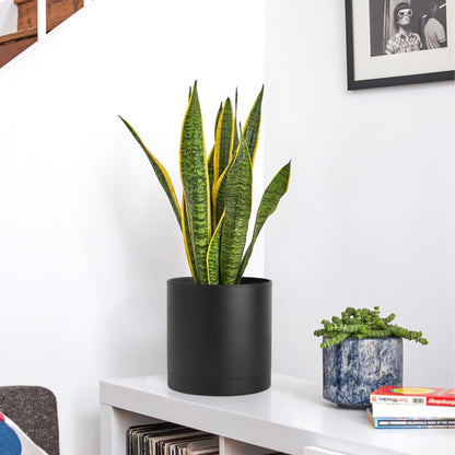 T4U 7/6/5/4 Inch Plastic Plant Pots with Saucer 4-Pack, Flower Planter Pot with Drainage Hole Black, Nursery Planting Pot for Snake Plant, African Violet and House Plants