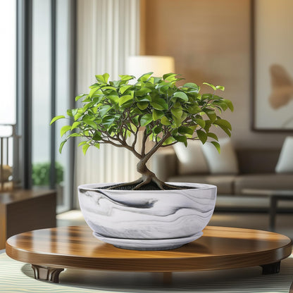 8in Marble Large Round Succulent Planter Pot Modern Flower Pot Indoor and Outdoor Planter with Marble Tray