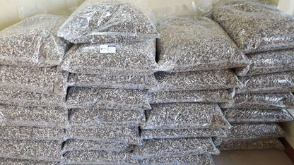 Yogi's Gift - Organic Moringa Oleifera Seeds 10 oz ~Approx 1000 Seeds | Indian Origin | Graines de Moringa