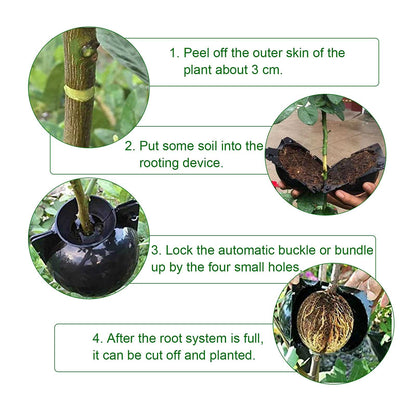 30 Pcs Air Layering Pods - Reusable Plant Root Growing Box - High Pressure Propagation Ball Grafting Device - Botany Root Controller for Various Plants Asexual Reproduction, Black