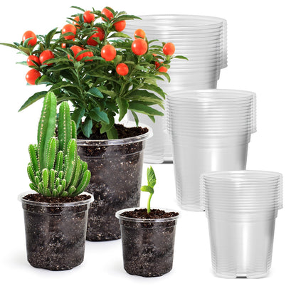 36 Packs 5/4/3.5 Inch Reinforced Clear Nursery Pots with Drainage Hole, Transparent Variety Pack Plastic Plant Pot Seedling Planter Seed Starter Flower 20pcs Labels