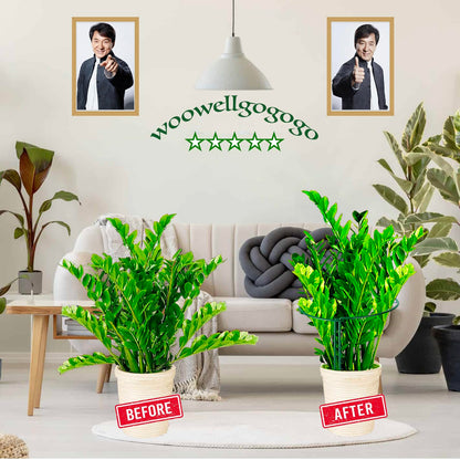 8 Pack Snake Plant Support Stakes Sets - Half Round Peony Cage and Support, Hydrangea Support Ring for Indoor and Outdoor Potted Plants, Such as Peonies, Tomatoes, Roses, Flowers