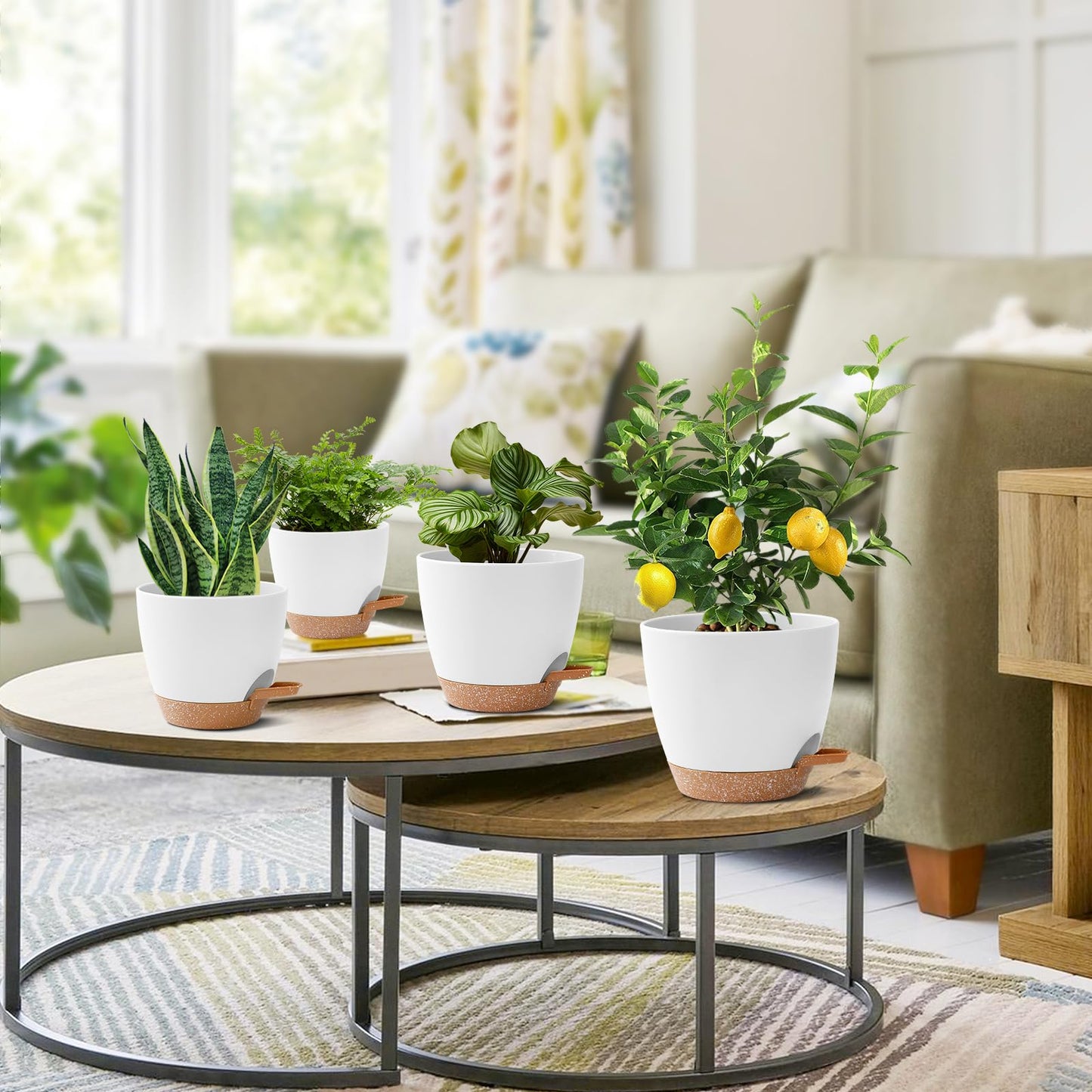 5 Pack Plant Pots Indoor 7/6.5/6/5.5/5 Inch Flower Pots Self Watering Planters for Indoor Plants with Drainage Hole Plastic Plant Pot for African Violet Cactus Flowers Succulents(White)