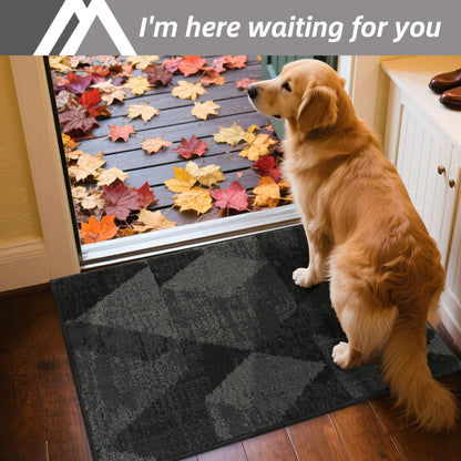 COSY HOMEER Door Mat Entrance, 20"x32" Non-Slip Absorbent Doormat for Front Door, Low Profile Dirt Trapper Entryway Mat, Washable Rugs for Paws & High Traffic Areas, Dark Gray
