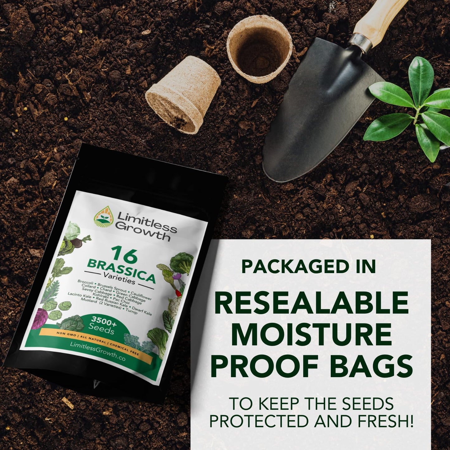 Brassica Varieties Seed Pack | 16 Varieties of Cool Weather Vegetable Seeds | Cabbage, Broccoli Seeds, & More, Easy to Grow for Canadian Gardens | Limitless Growth