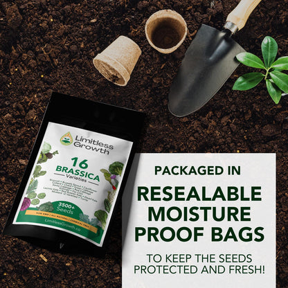 Brassica Varieties Seed Pack | 16 Varieties of Cool Weather Vegetable Seeds | Cabbage, Broccoli Seeds, & More, Easy to Grow for Canadian Gardens | Limitless Growth