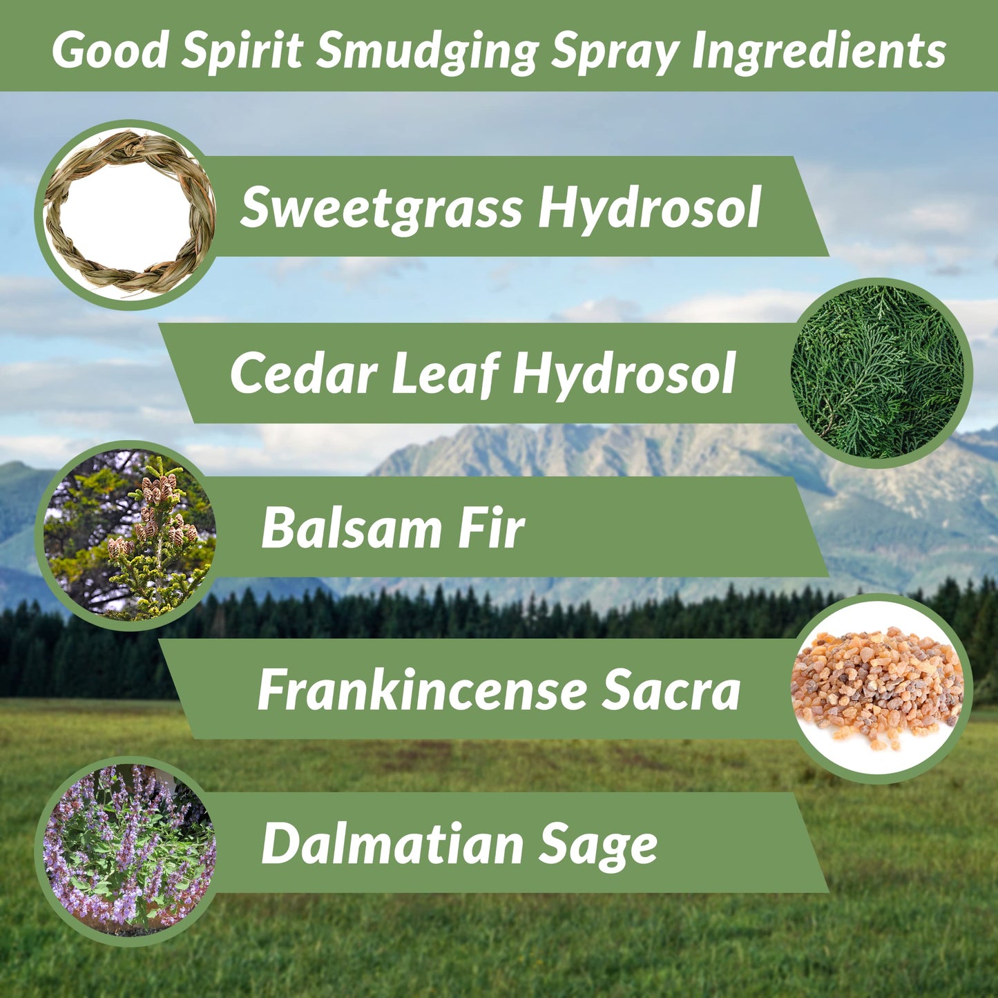 Smudging Spray by Nascentials 240ml | Sweetgrass, Cedar Leaf, Balsam Fir, Frankincense & Dalmatian Sage | Bonus 60ml Travel Size | Spray to Cleanse Spaces and Energy | Made with Pure Essential Oils