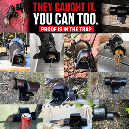 Rat Traps for Big & Large Rats Indoor & Outdoor, Big Mouse | Dual Tunneled Snap Trap | Pet & Kids Safe Design | Prevents Accidental Triggering | Reusable Heavy Duty Rat Trap that Works