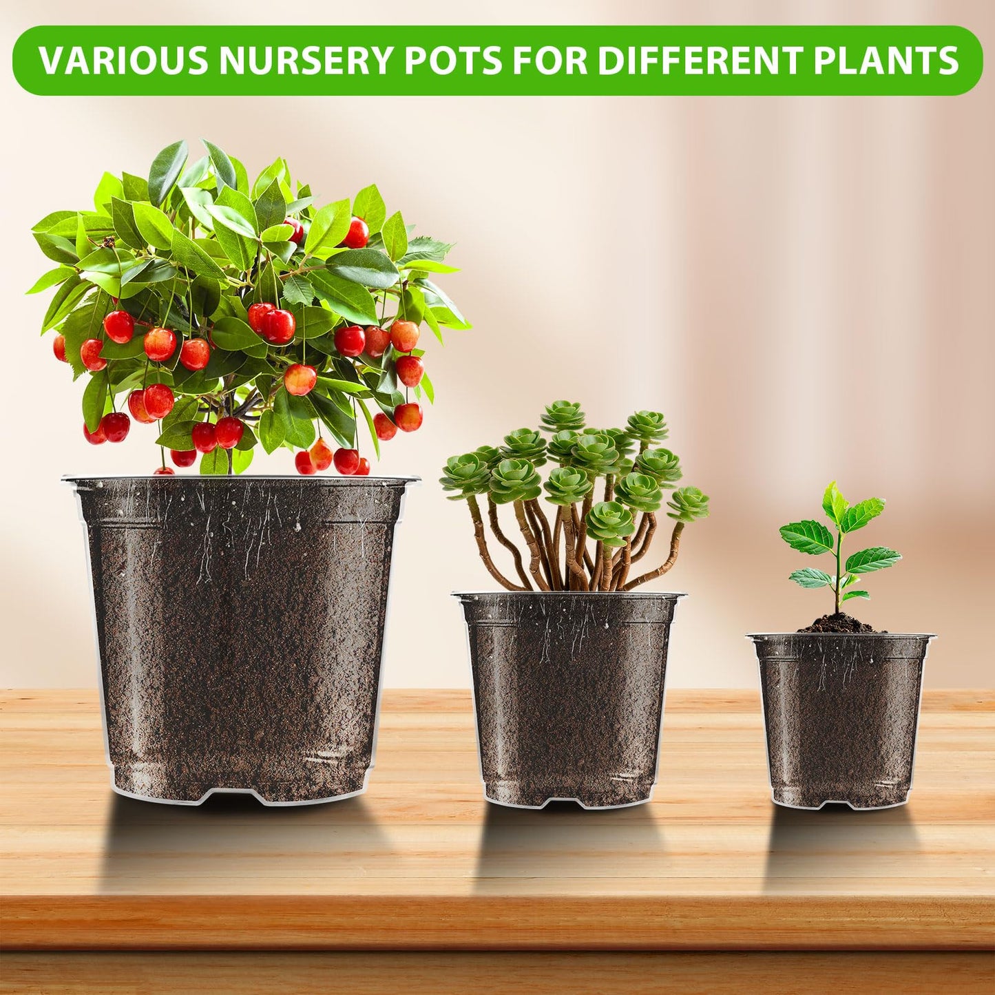 36 Pack Clear Nursery Pots 5/6/7inch Transparent Plastic Plant Pots with Drainage Holes, See Through Seedling Planter for Starter Seed Planter