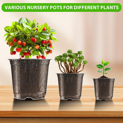 36 Pack Clear Nursery Pots 5/6/7inch Transparent Plastic Plant Pots with Drainage Holes, See Through Seedling Planter for Starter Seed Planter