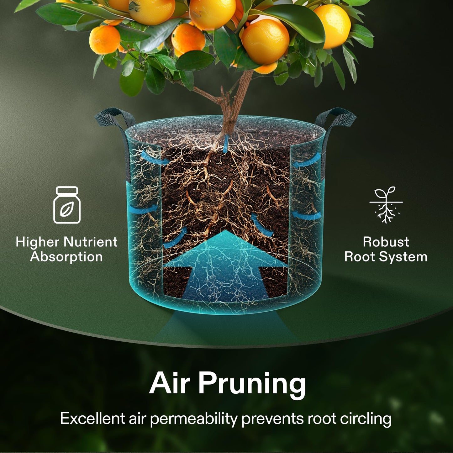 VIVOSUN 5-Pack 7 Gallon Grow Bags, 500G Thick Nonwoven Fabric Pots with Strap Handles, Multi-Purpose Rings, for Low Stress Plant Training Fruits, Vegetables, and Flowers