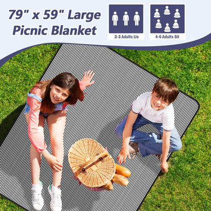 Aenithsy Picnic Blanket Waterproof, 59"x79" Picnic Mat with Carrying Handle, Foldable Washable Beach Blanket for Outdoor Activities, Park, Camping, Hiking(Blue Stripe)