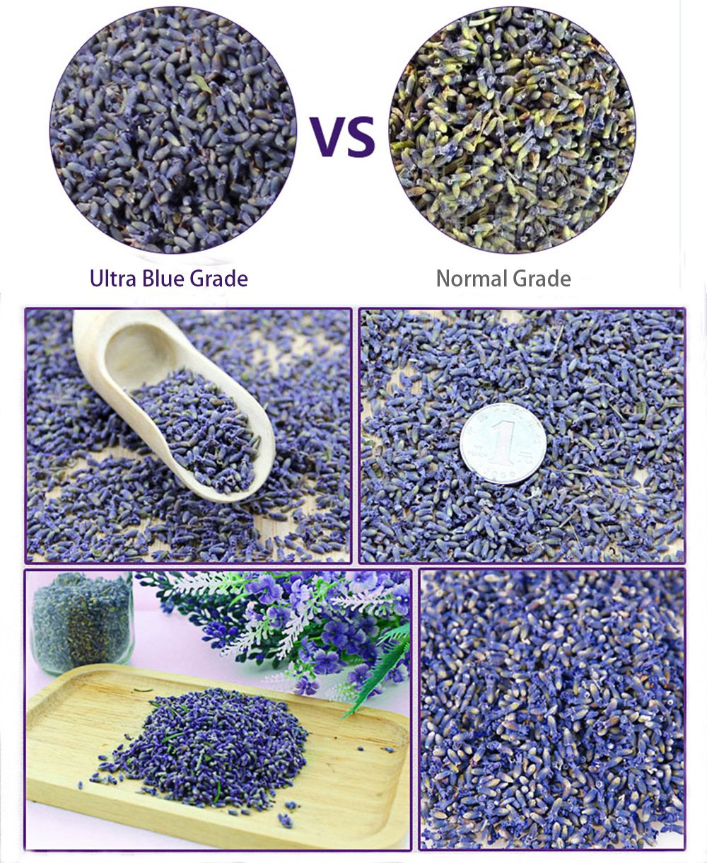 TooGet Fragrant Lavender Buds Organic Dried Flowers Wholesale, Ultra Blue Grade - 450g