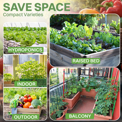 THUNDERBAY-GBSE Vegetable & Herb Seed Variety Pack of 37 Heirloom Sachets Approx. 5200 Seeds(100% Non GMO,37 Individually Packed Sachets, 37 Planting Tags) 37 sachets d'herbes et de légumes