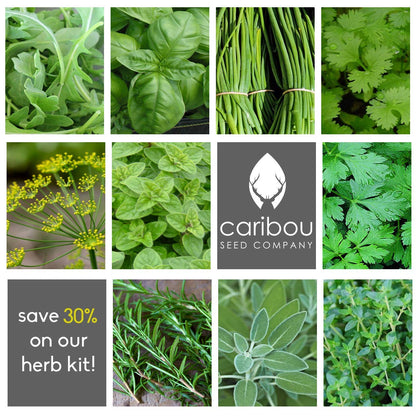 Caribou Seed Company | Chef's Herb Garden Seed Kit | Organic Seed from Canada | 10 Herbs: Arugula, Basil, Chives, Cilantro, Dill, Oregano, Parsley, Rosemary, Sage, Thyme