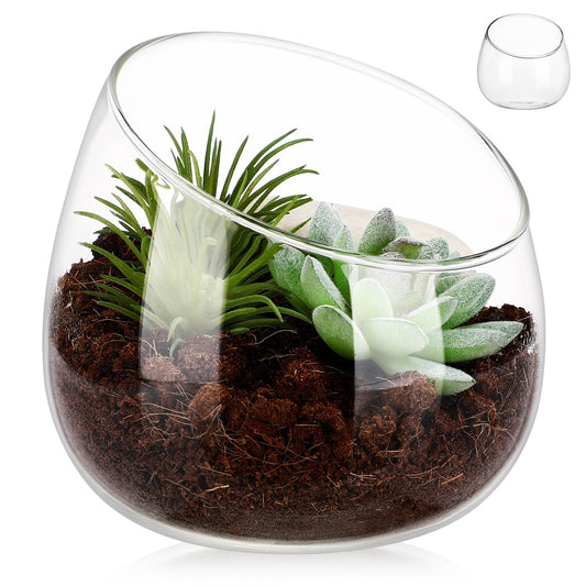 Toddmomy Slanted Mouth Glass Vase Plant Terrarium 1.86 Inch Transparent Planter for Indoor Succulents Moss Small Decorative Bowl Vase for Home Office Garden