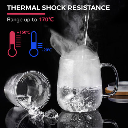 Dorsaer Glass Tea Mugs - Glass Tea Cup with Glass Infuser and Lid for Tea Steeping at Home and Office (16.9 oz)