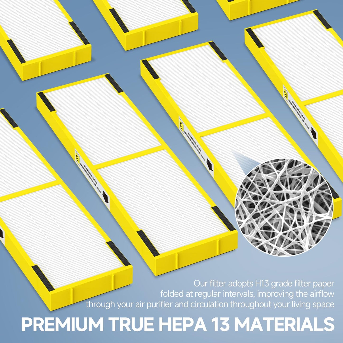 SAKEGDY FLT4825 HEPA Filter B Compatible with Air Purifier models AC4825 AC4300 AC4800 AC4900 AC4850, 2 True HEPA Filters + 6 Activated Carbon Pre-filters