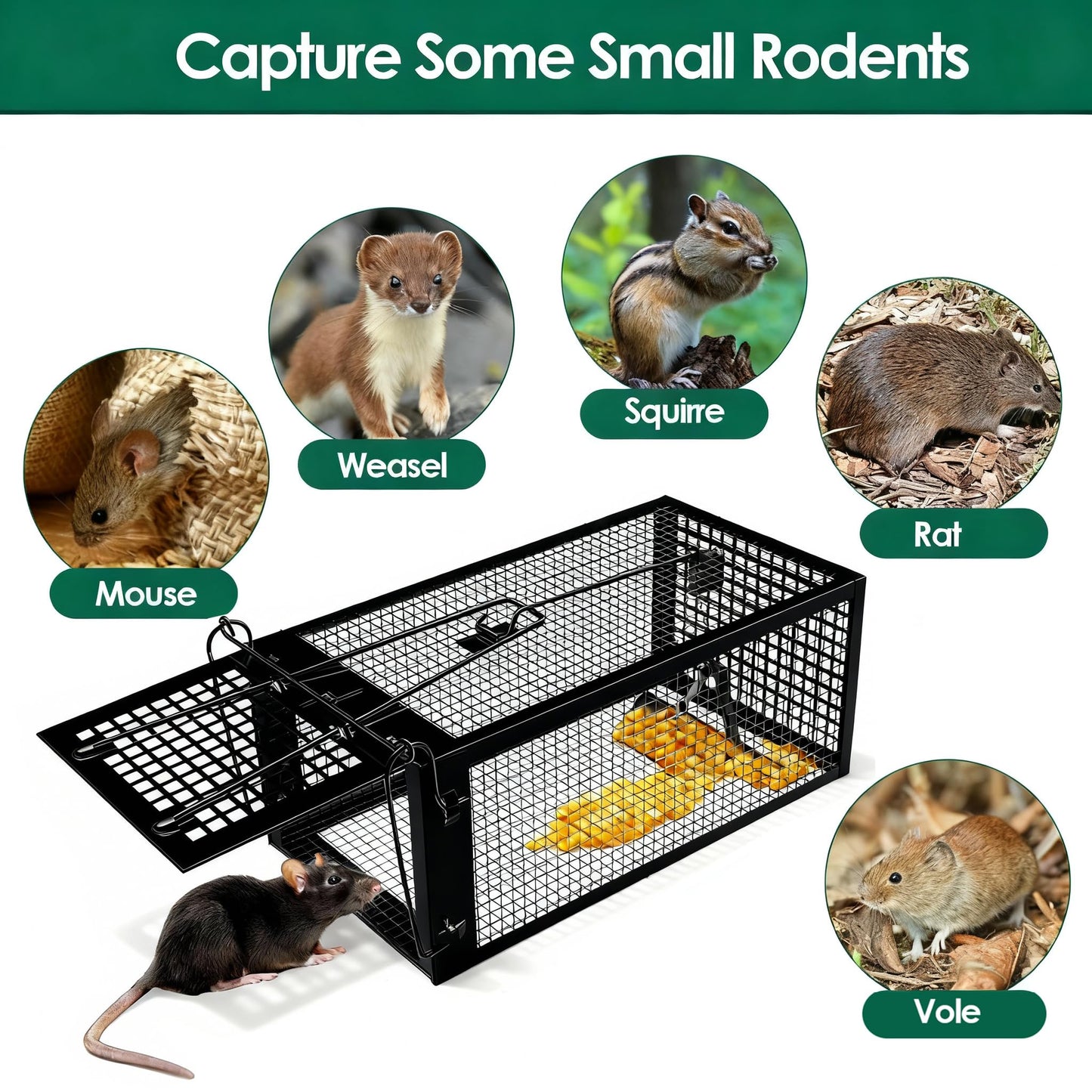 AGJIQ Humane Mouse Trap, Rat Trap Cage, Suitable for Indoor & Outdoor Use, Live Catch & Release Design for Mice, Chipmunks, Voles, Hamsters and Other Small Rodents(Black Single Unit)