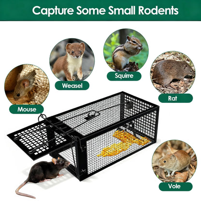 AGJIQ Humane Mouse Trap, Rat Trap Cage, Suitable for Indoor & Outdoor Use, Live Catch & Release Design for Mice, Chipmunks, Voles, Hamsters and Other Small Rodents(Black Single Unit)