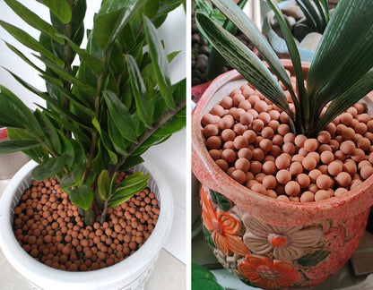 6LB Clay Pebbles Gardening Ceramsite (6LB)