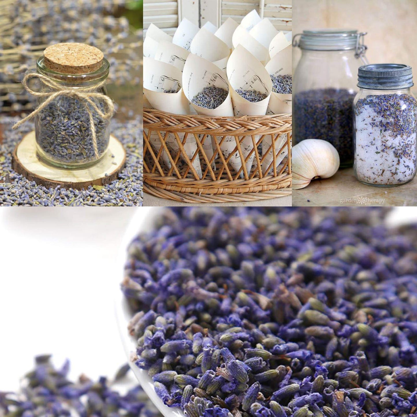CoolCrafts Dried Lavender Flowers, Dry Lavender Buds Bulk Wholesale Fragrant Lavender for Wedding Toss, Crafts, Sachets - 1 Pound