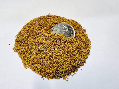 1 Pound Dutch Lawn White Clover Seed - White Clover Seeds for Lawn Canada (450 g)