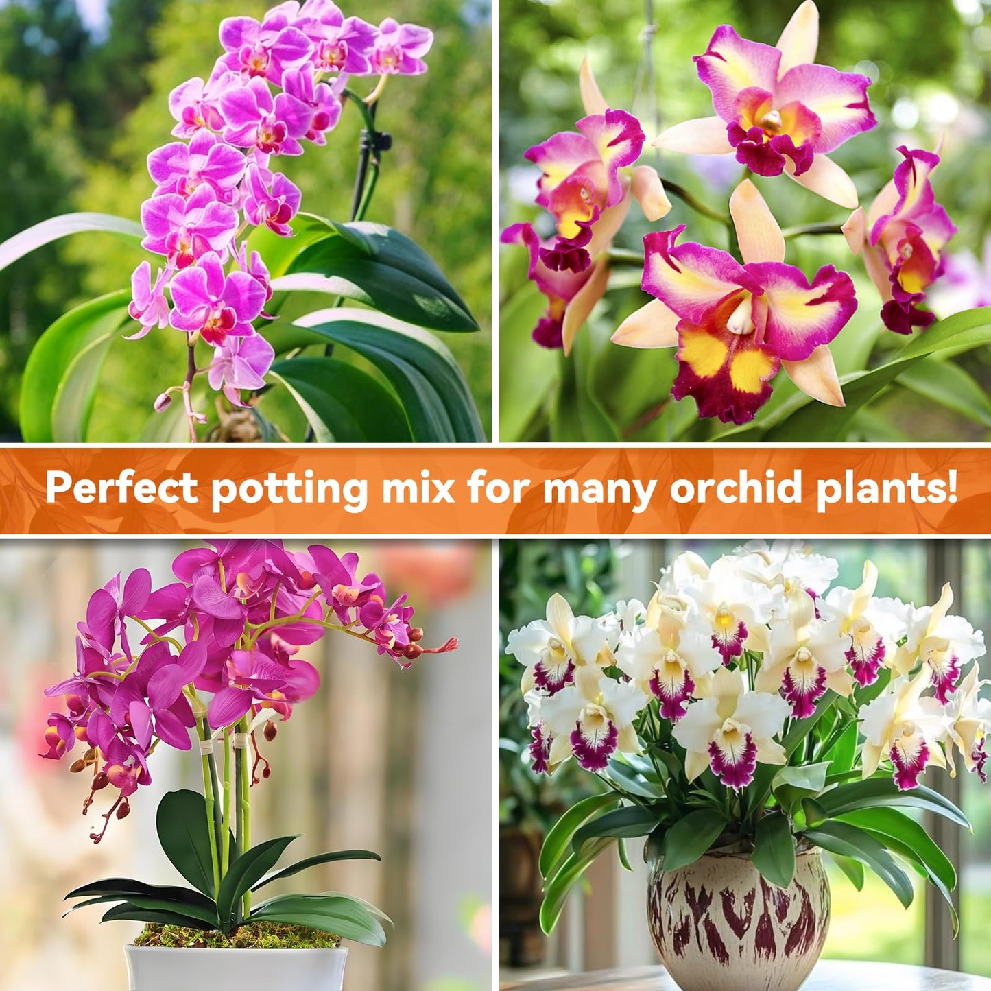 Riare 2L Orchid Potting Mix for Repotting- Orchids Repotting Kit Include Moss, Pine Bark, Perlite, Coco Peat- Premium Orchid Soil Medium for Indoor Potted Plants Root Ventilation & Expanding
