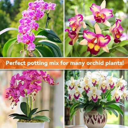 Riare 2L Orchid Potting Mix for Repotting- Orchids Repotting Kit Include Moss, Pine Bark, Perlite, Coco Peat- Premium Orchid Soil Medium for Indoor Potted Plants Root Ventilation & Expanding