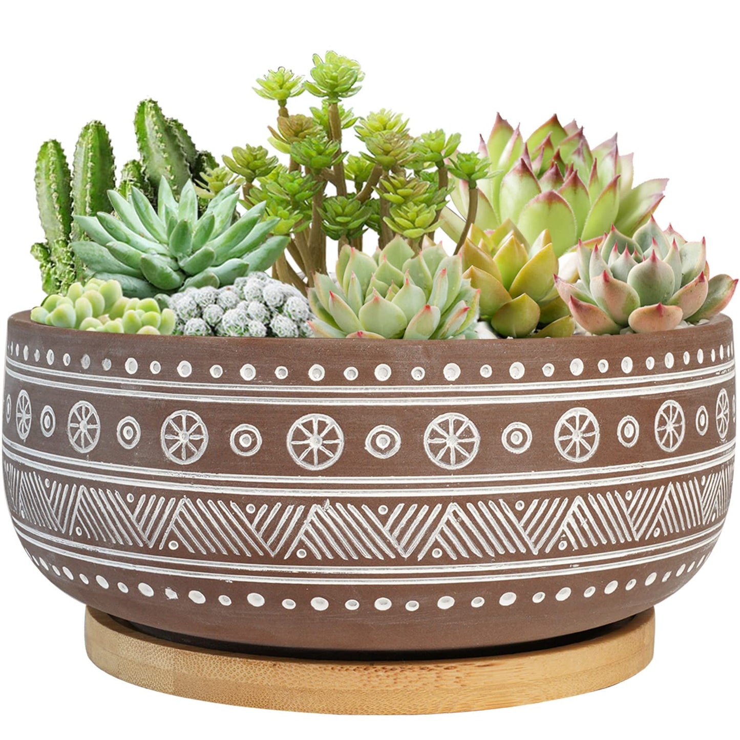 Thirtypot 8 Inch Terracotta Succulent Planter Pot with Drainage Hole and Bamboo Tray, Brown Round Shallow Bonsai Pot for Indoor Plants