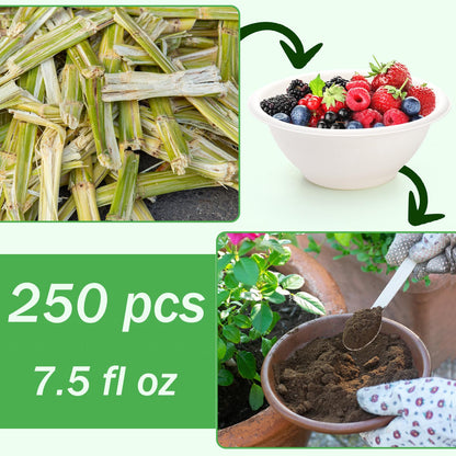 Yesland 250 Pack 8 oz Natural Sugarcane Bowls, White Small Disposable Paper Bowls Bagasse Soup Bowls, Microwave Chili Bowls for Salad, Dessert, Snack, Hot Soup