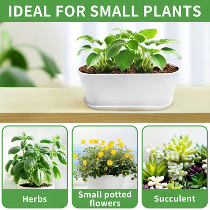 5 Set 8.5x3.5 Inch Plant pots, Rounded Rectangle planters with Multiple Drainage Holes and Trays, Window Box Planter for Indoor Windowsill, Balcony etc.