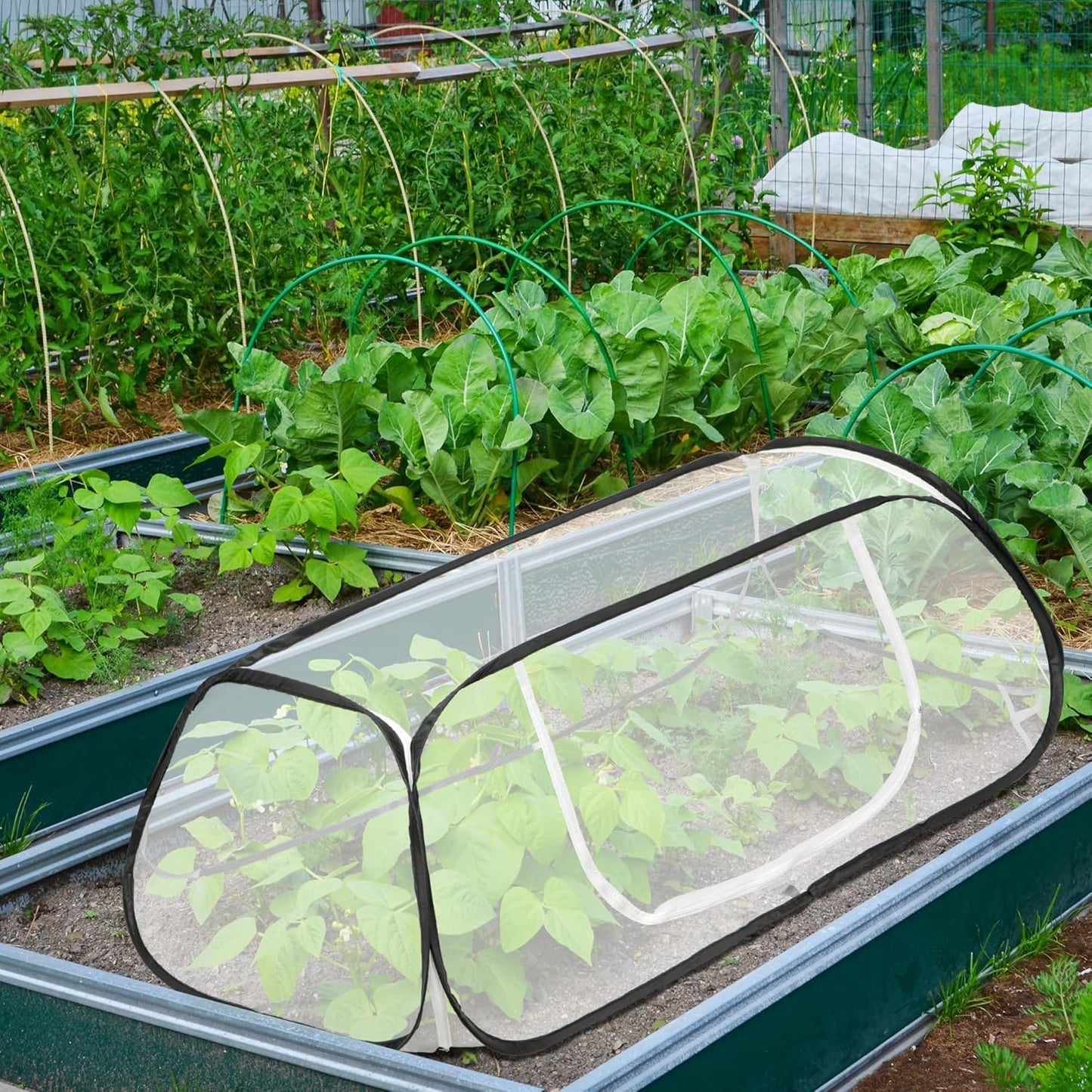 45x22x16 Garden Row Accelerator Plants Cover - Pop Up Raised Garden Bed Vegetable Rows Plant Protector,Insect Bird Barrier Plant Net Cage with Stakes for Protecting Seedlings Fruits Vegetable Row