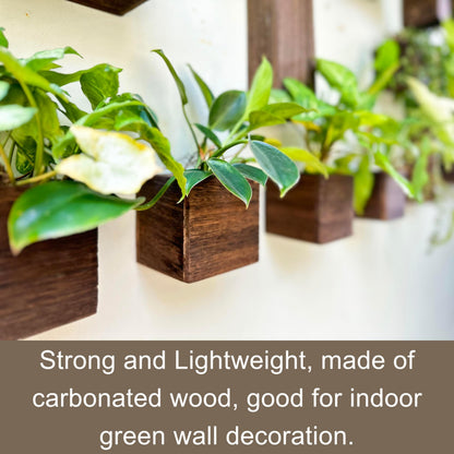 LaLaGreen Wood Planter Box for Plants (4x4 Inch, 6 Pack) Small Square Wooden Wall Planters for Indoor Plant, Hanging Window Flower Boxes Herb Planter Table Centerpiece Modern Home Garden Office Decor