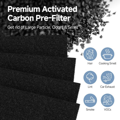 SAKEGDY FLT4825 HEPA Filter B Compatible with Air Purifier models AC4825 AC4300 AC4800 AC4900 AC4850, 2 True HEPA Filters + 6 Activated Carbon Pre-filters