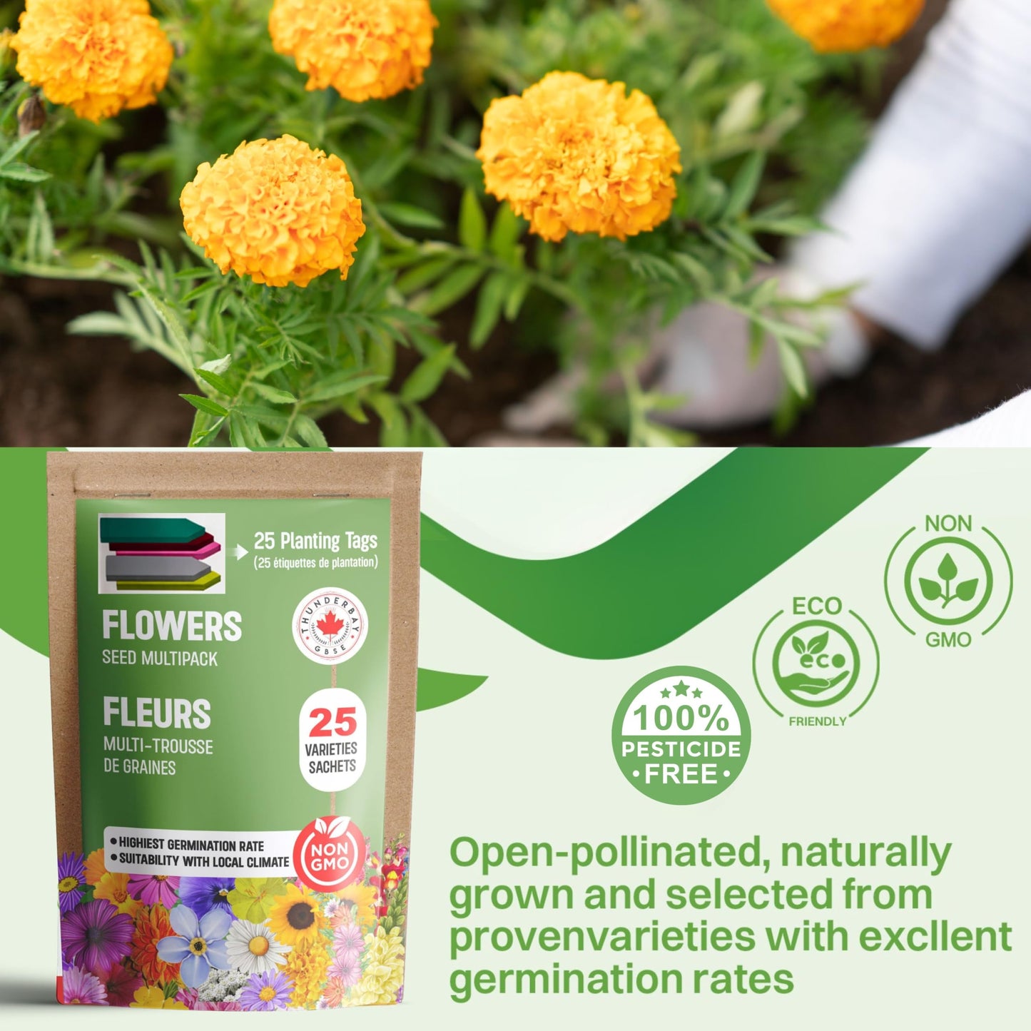 25 Packs Sachets Flowers Varieties Heirloom Seeds Packets Seeds with 25 Planting Labels 100% Non-GMO. Sachets de graines potagères