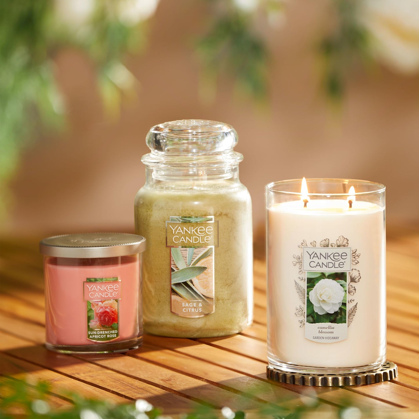Yankee Candle Scented Candle, Sage & Citrus, Original Large Jar Candle, 110-150 Hours of Burn Time, 22 oz.