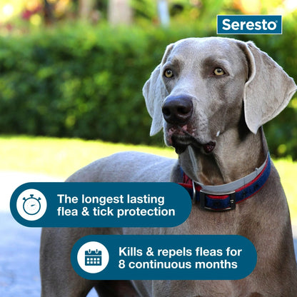 Seresto™ 8-Month Flea & Tick Prevention Collar for Large Dogs (Over 18 lbs)