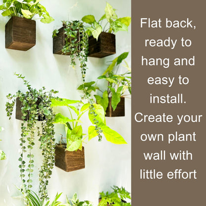 LaLaGreen Wood Planter Box for Plants (4x4 Inch, 6 Pack) Small Square Wooden Wall Planters for Indoor Plant, Hanging Window Flower Boxes Herb Planter Table Centerpiece Modern Home Garden Office Decor
