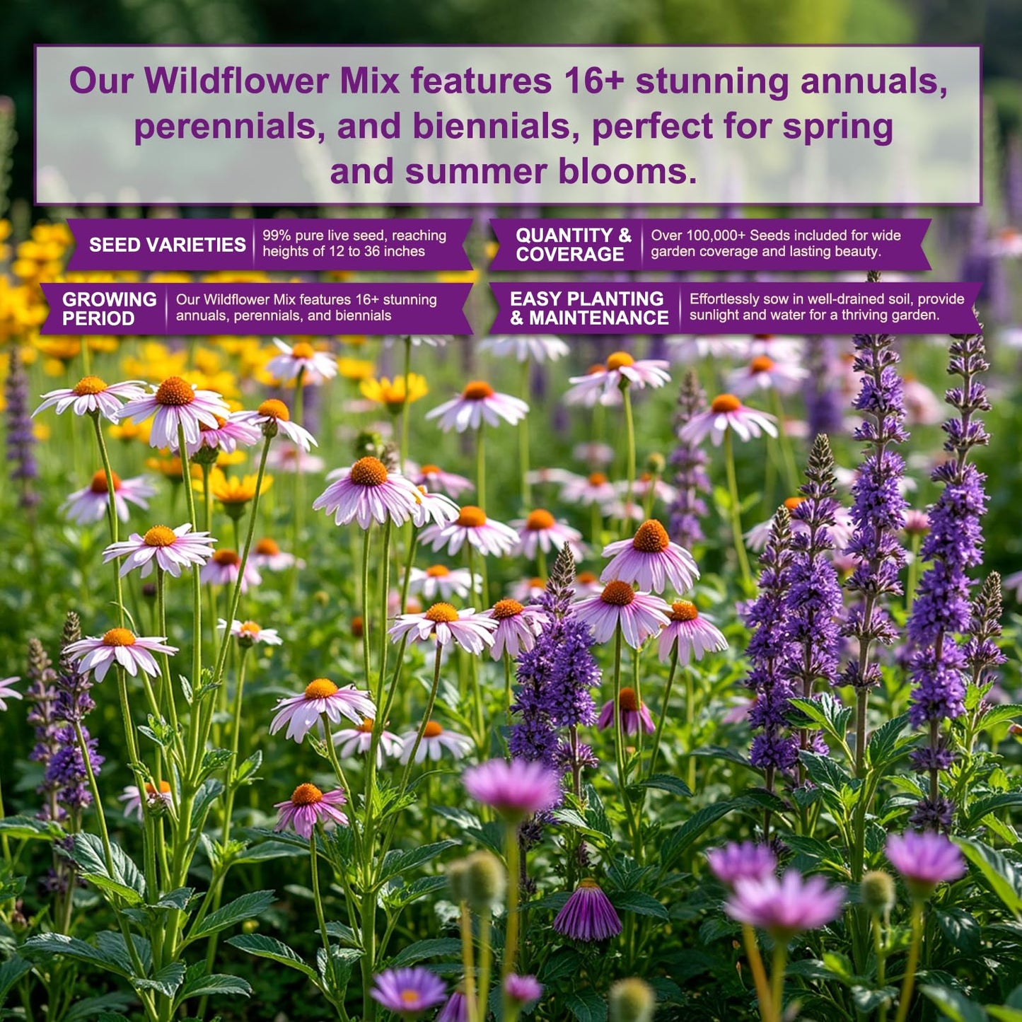 200,000+ Wildflower Seeds [4oz] 16 Variety Perennial Mix - USA-Sourced Seeds for Pollinator Gardens | Attracts Bees/Birds/Butterflies | High Germination Rate for Indoor & Outdoor