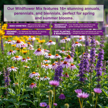200,000+ Wildflower Seeds [4oz] 16 Variety Perennial Mix - USA-Sourced Seeds for Pollinator Gardens | Attracts Bees/Birds/Butterflies | High Germination Rate for Indoor & Outdoor