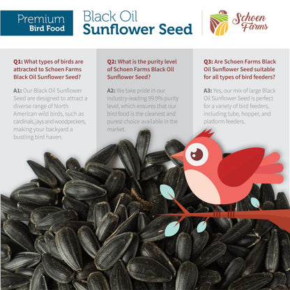 Schoen Farms Black Oil Sunflower Seeds for Birds (6 LBS)