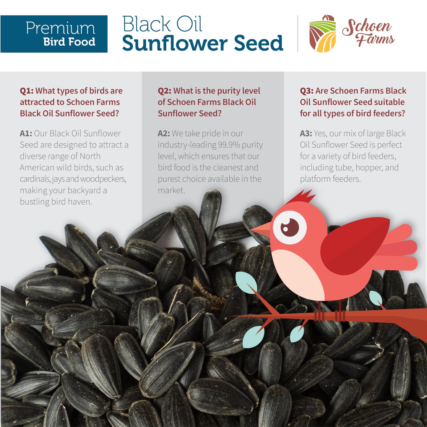Schoen Farms Black Oil Sunflower Seeds – 2.27 kg Bag – Wild Bird Food for Chickadees, Cardinals, Jays & Finches – Grown in Canada