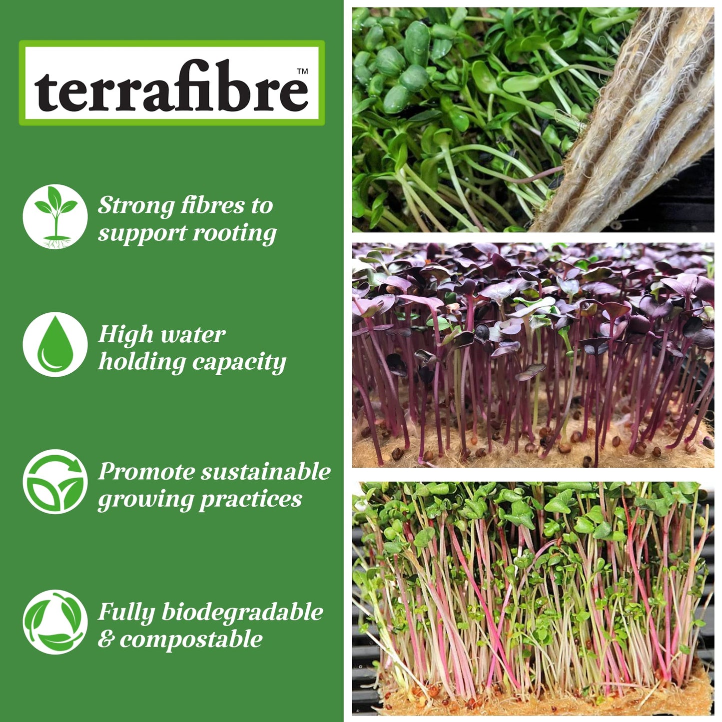terrafibre Hemp Microgreen Growing Mats – 100% Organic & Biodegradable Seed Starter for Microgreens, Sprouts & Hydroponics – Fits 5x5 & 10x20 Trays – Ideal for Indoor Growing – 5” x 5” (40-Pack)