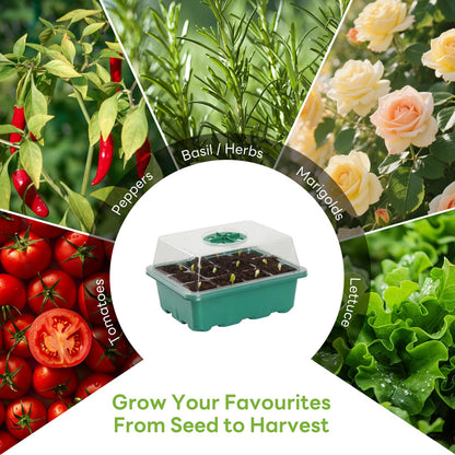 10-Pack Seed Starter Tray (120 Cells) Reusable Plant Starter Kit with Adjustable Humidity Domes, 12-Cell Seedling Trays, Complete Germination Station, Mini-Serre, Plateau de semis for Indoor Gardening