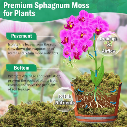 Riare 2.8LBS Premium Sphagnum Moss for Plants- 55QT Natural Dried Plant Moss for Potted Plants, Orchid Moss for Repotting, Soft Green Decorative Moss for Succulents, Reptiles & DIY Crafts