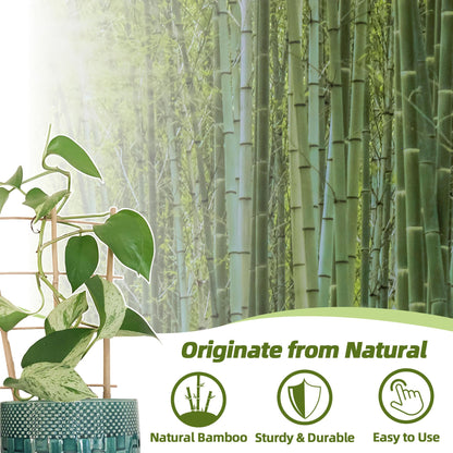 10 Pack Bamboo Trellis for Climbing Plants, 16 Inch Garden Ladder Trellis for Potted Plants Indoor, Fan-Shaped Small Plant Support Trellis for Houseplants Ivy Hoya Vine Monstera