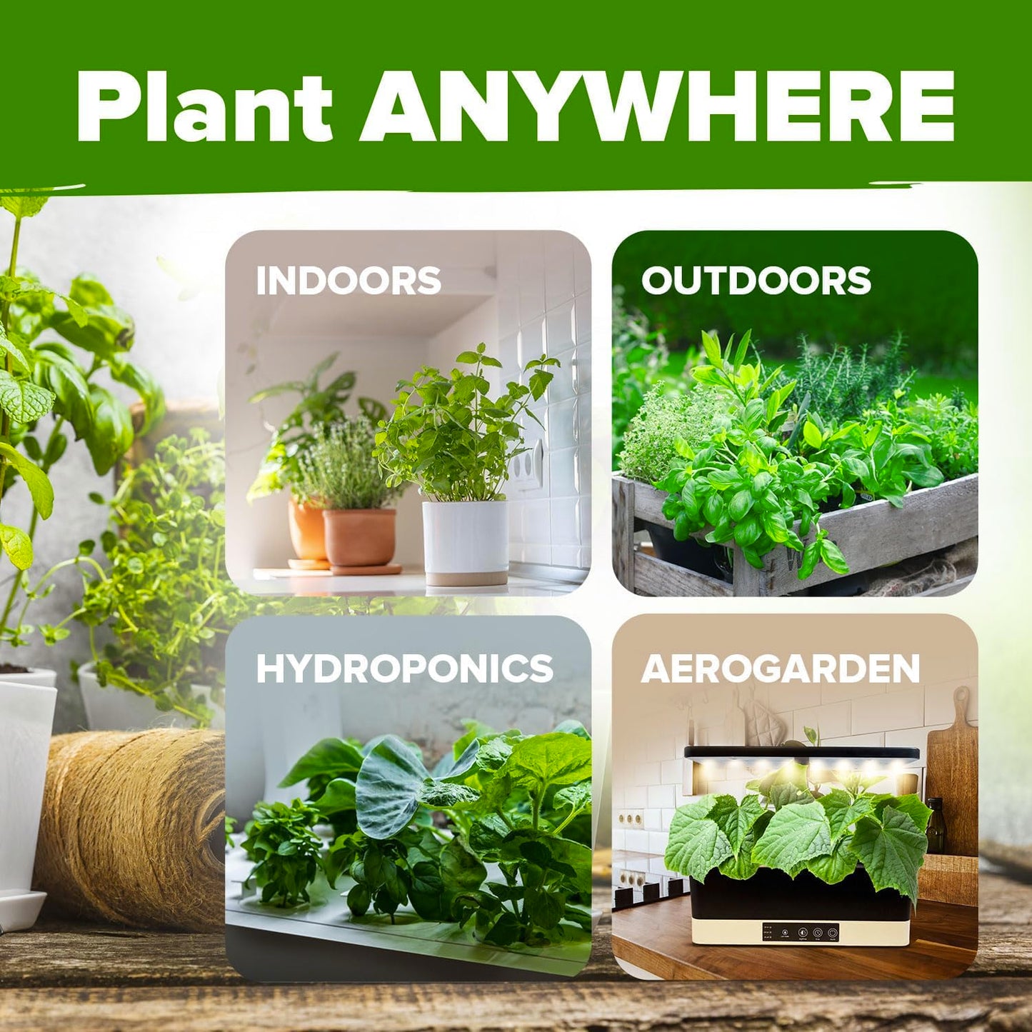 10 Culinary Herb Seed Vault - Heirloom and Non GMO - 3000+ Seeds for Planting for Outdoor or Indoor Herb Garden, Basil, Cilantro, Parsley, Chives, Thyme, Oregano, Dill, Marjoram, Mint, Tarragon