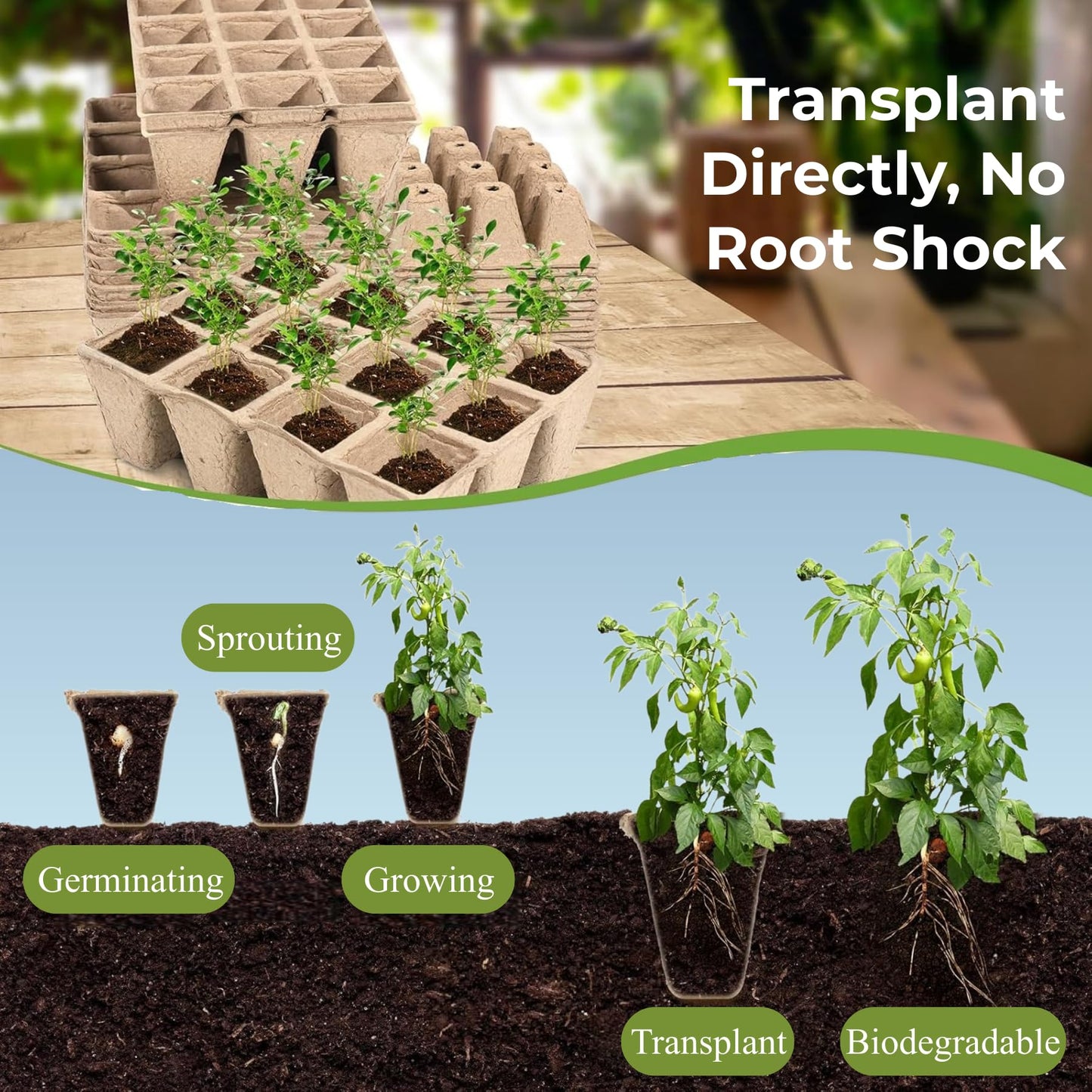 40 Packs Peat Pots Seed Starter Tray, 480 Cells Biodegradable Seedling Pots Germination Trays, Plant Starter Tray for Seedling, Organic Seed Starting Trays kit with Labels & 2 Transplant Tools (40)