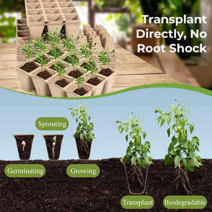 40 Packs Peat Pots Seed Starter Tray, 480 Cells Biodegradable Seedling Pots Germination Trays, Plant Starter Tray for Seedling, Organic Seed Starting Trays kit with Labels & 2 Transplant Tools (40)